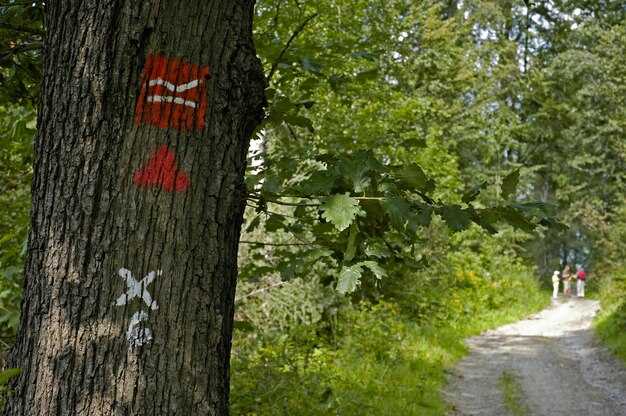 hiking trail germany signs
